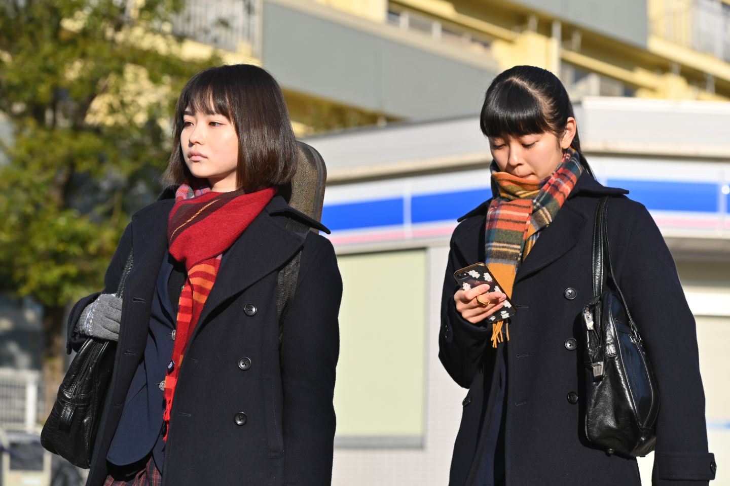 テレビ番組_2,ドラマ_2