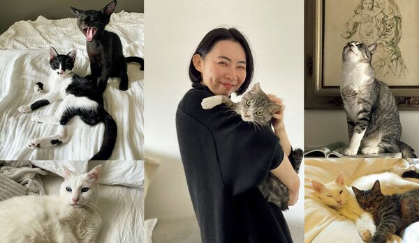 作家・朝吹真理子さんと一緒に暮らす4匹の保護猫たちとの物語【愛猫と共に生きるということ】