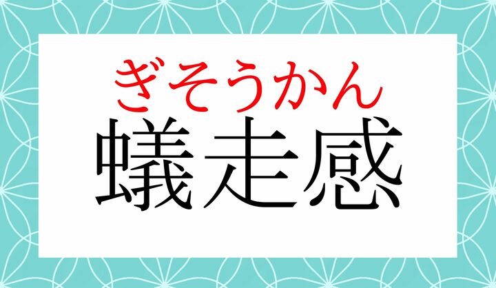 「虫がはうようなムズムズした感覚」をフォーマルに言う言葉です。