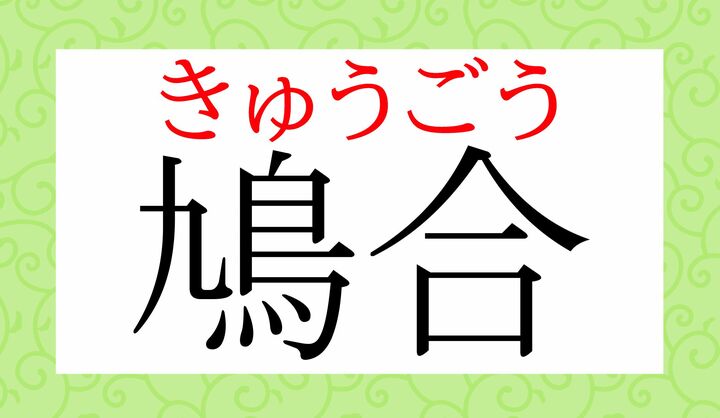 「鳩」の音読みには「キュウ」と「ク」がございます。