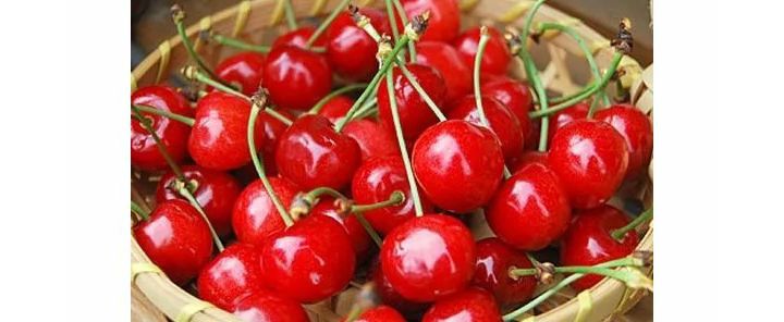 「さくらんぼ 紅さやか 200g」(ナチュラルストア・山形ほか)