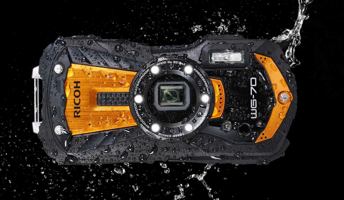 スマホには決して真似できない！夏のバカンスには水陸無双のモンスター