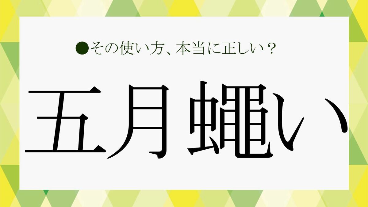 五 月 の 蝿 読み方
