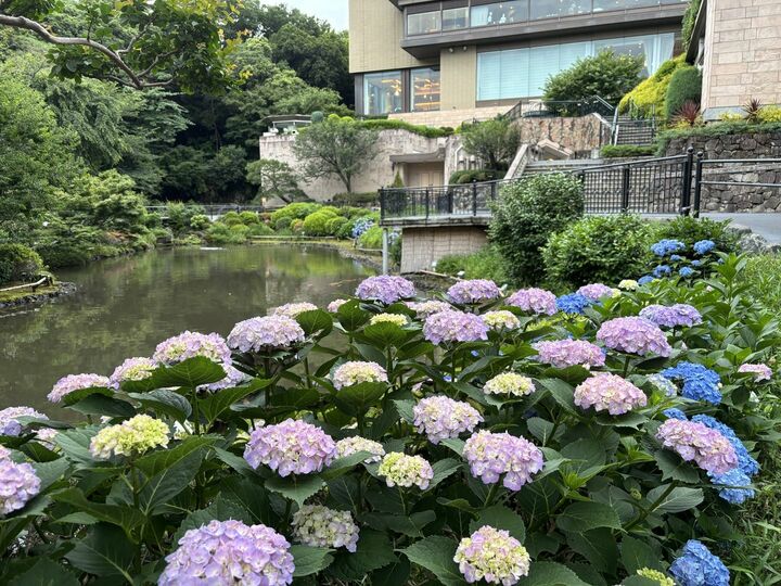 肉_1,レストラン_1,東京_1,ホテル_1