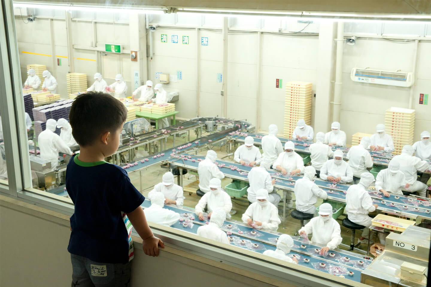 製造ラインをガラス越しに見学。プロの美しい早業にワクワクします