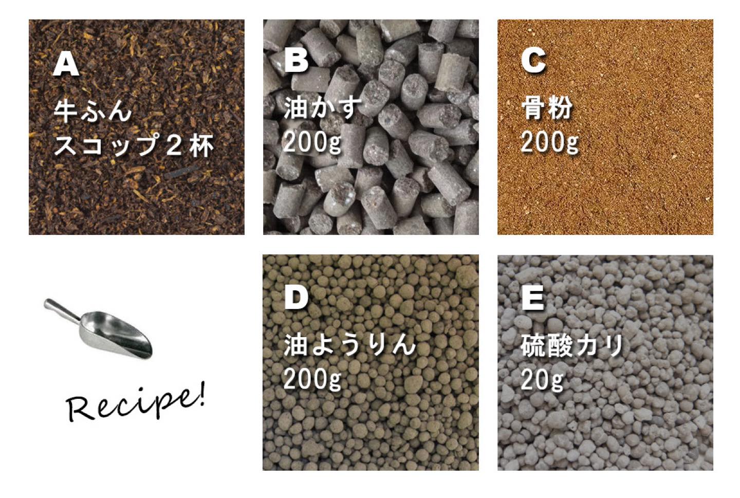 肥料、バラの成長具合に合わせて、調整してくださいね! A:牛ふん堆肥=微生物の活性化のために入れます。土壌をフカフカにしてくれます。スコップ2杯分 B:油かす=茎と葉を育てます。入れすぎると、枝が柔らかく軟弱になったり、病気になりやすくなります。各200g C:骨粉(豚や鶏が主流の、リン酸が補給できる有機肥料≒リン酸)=花を育てます。 D:ようりん=花を育てます(≒リン酸)。マンガン、苦土、カルシウムなどの微量要素が含まれています。 E:硫酸カリ=根を強くしてくれます。20g