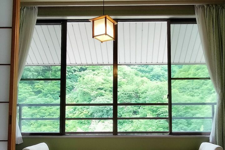客室からの眺め