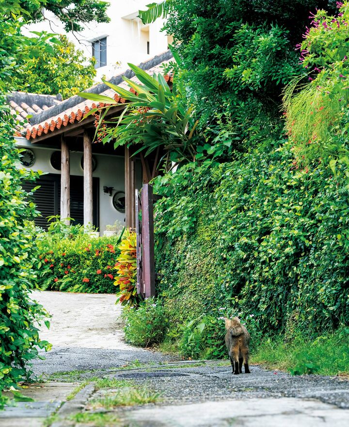 沖縄_1,国内旅行_1,旅行