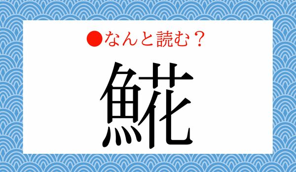 「さかなばな」ではありません!「𩸽」ってなんと読む?身近な魚ですよ!