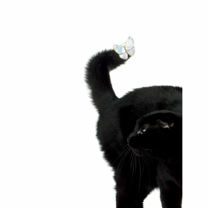 ブローチ『パピヨン クリップ』［YG×白蝶貝×ダイヤモンド］（ヴァン クリーフ＆アーペル）