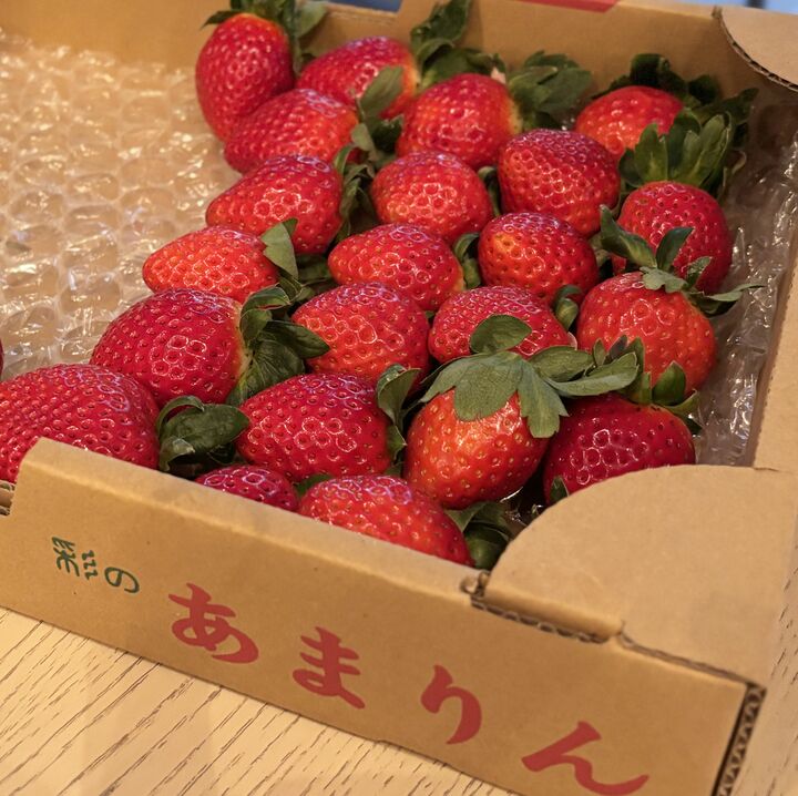 スイーツ_2,いちご_2,ホテル_2,銀座_2,東京_2