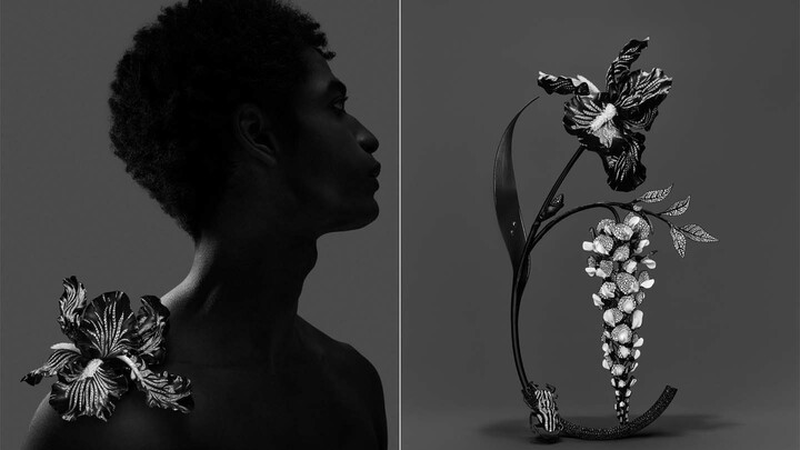 ブシュロンの新作ハイジュエリーコレクション「IMPERMANENCE(インパーマネンス)」
