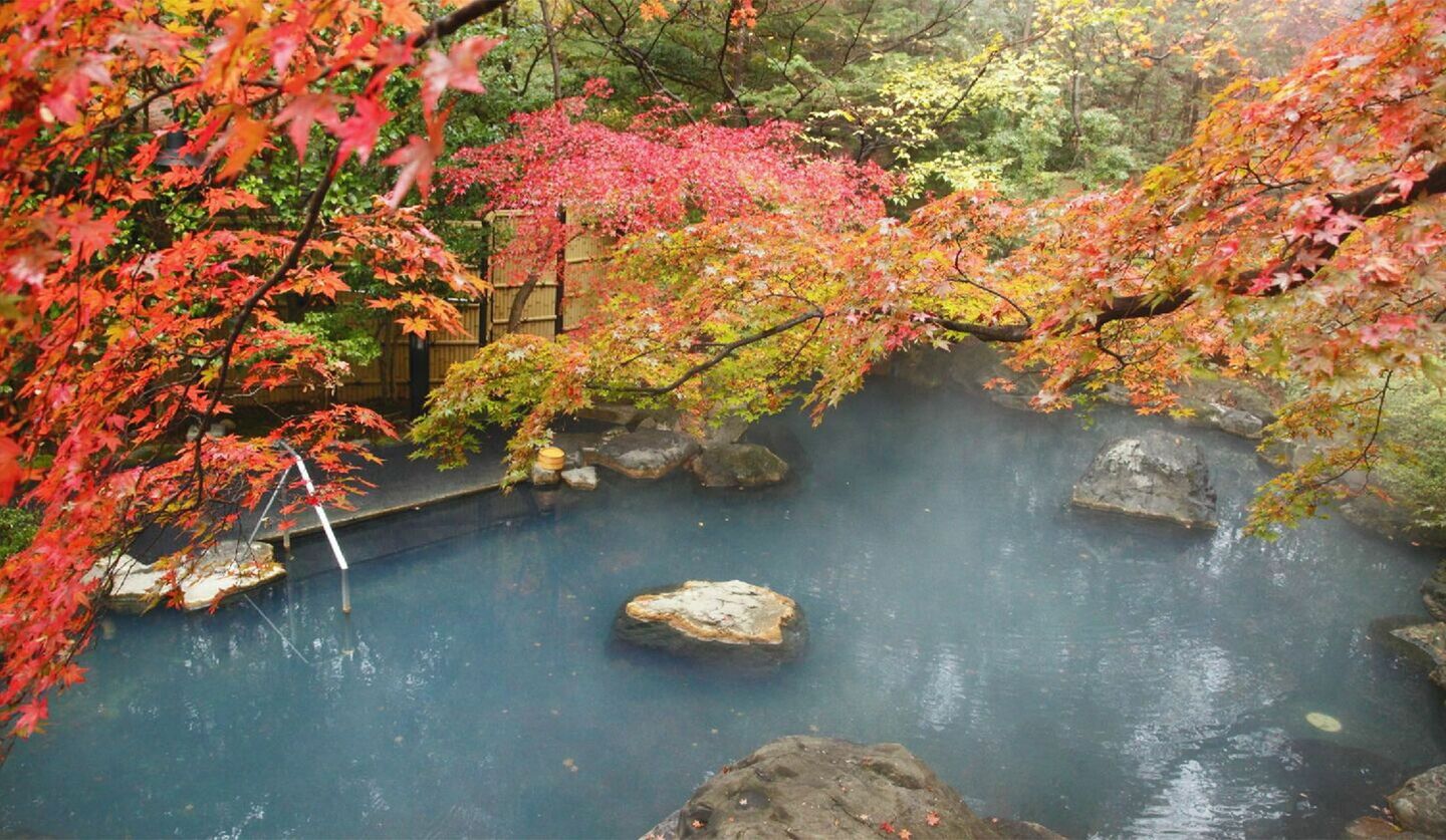 栃木県「那須温泉 山楽」の大露天風呂