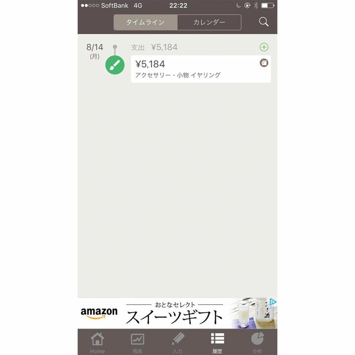「履歴」ページでは、いつ、どのカテゴリで、いくらの支出があったか、一覧で確認できる