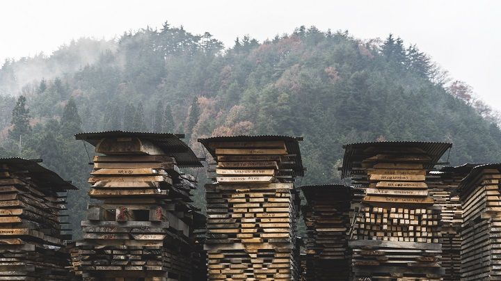 岐阜県飛騨地方に広がる天然の広葉樹林(ハードウッド)。美しい木目や傷付きにくい硬質さが家具に最適とされています。