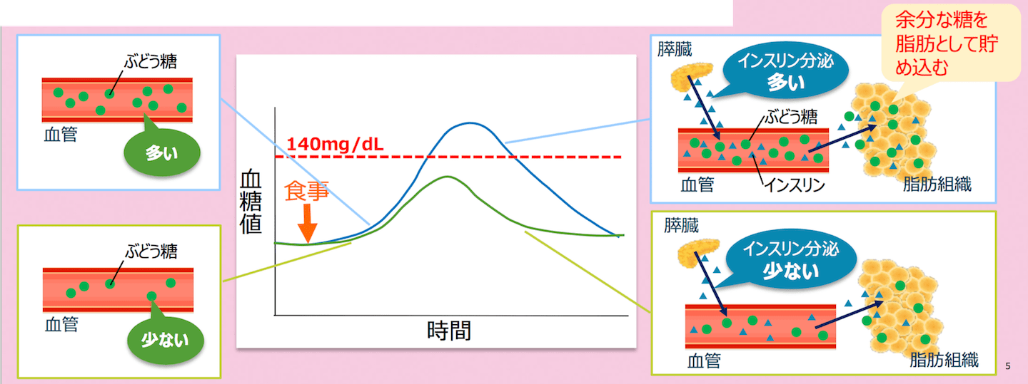 血中にブドウ糖が多いと、インスリンが多く分泌され、余分な脂肪としてため込みます。