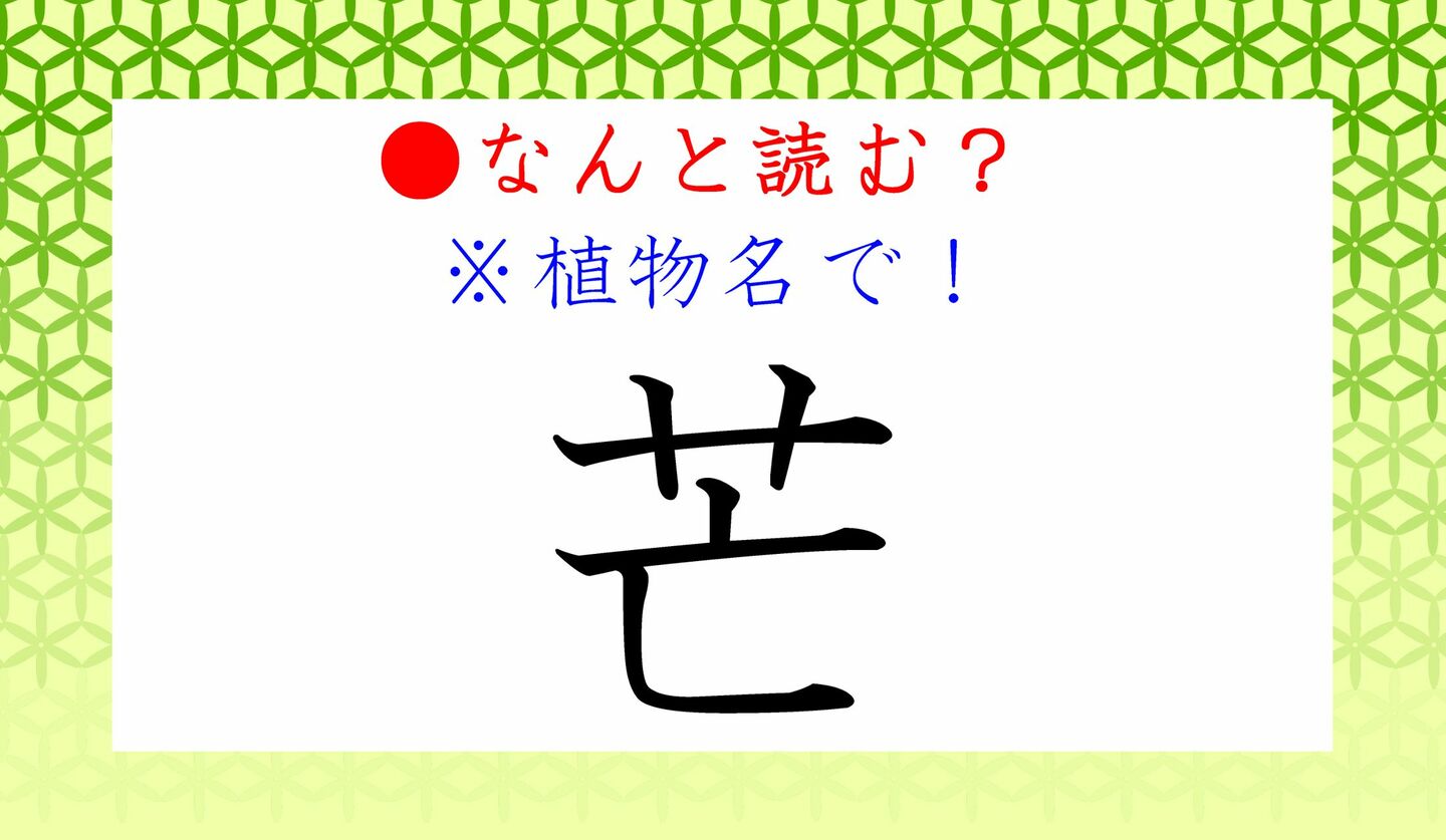 日本語クイズ　出題画像　難読漢字　「芒」なんと読む？　※植物名で！