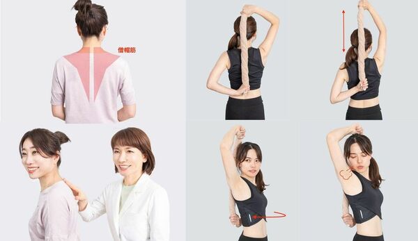 プロが教える、僧帽筋（そうぼうきん）のストレッチ術【５選】