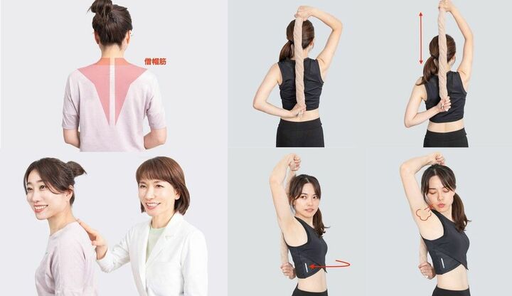 僧帽筋のストレッチ