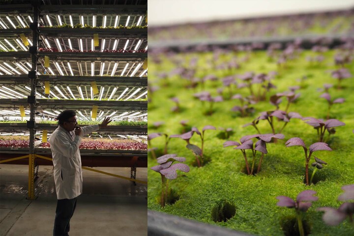 秋山都さん撮影によるドバイの写真