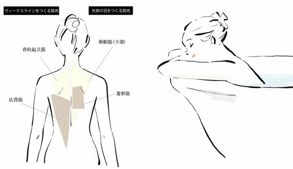 【今日からできる背中痩せ】美背中を手に入れる方法