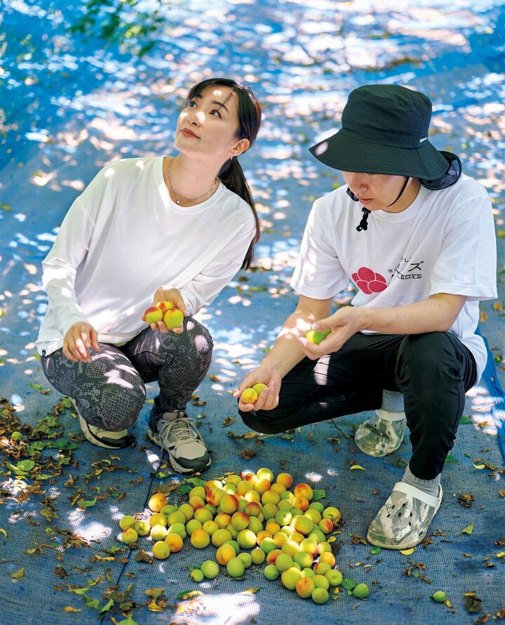 和歌山県の「梅ボーイズ」を訪れたキャスターの大江麻里子さん