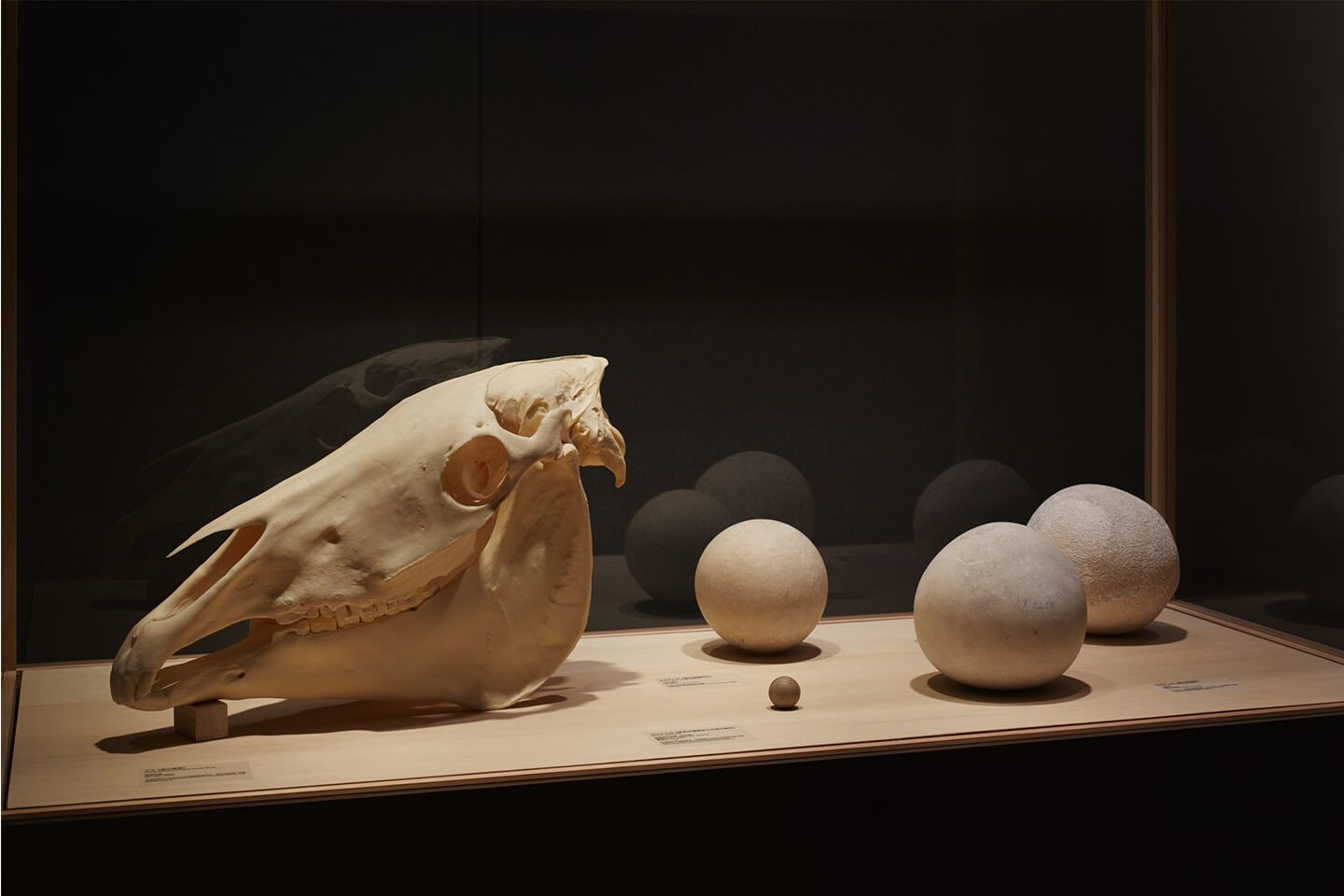 9F展示