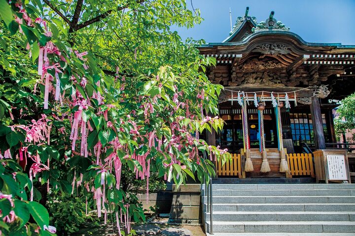 東京・世田谷区の桜神宮