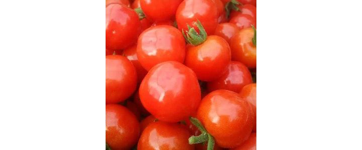 「柔らかい食感が魅力のプチぷよ5kg」(北海道)