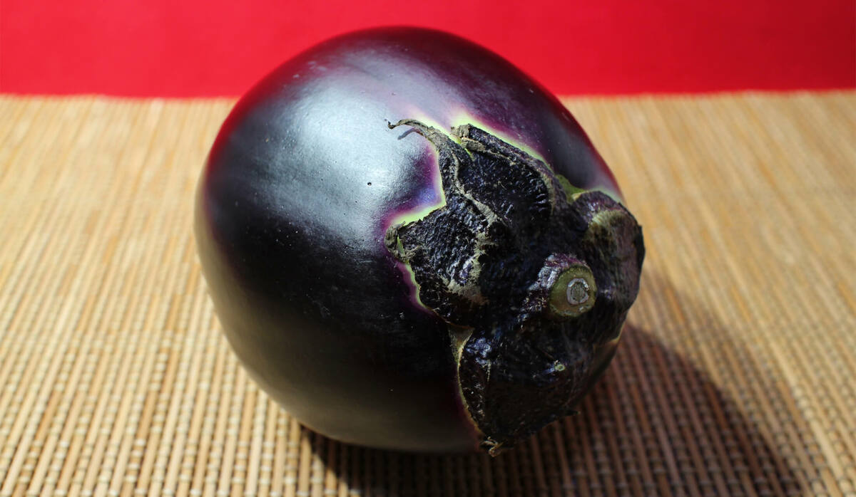 高級野菜「賀茂なす」はどうしてあんなに美味しいの？プロが教える