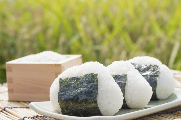 ついに食感対決に白黒ついた!