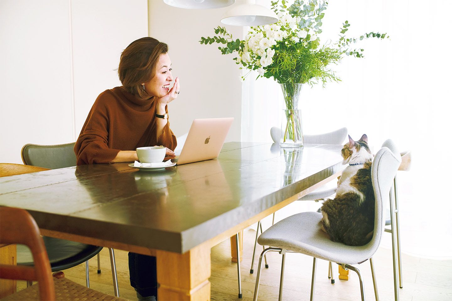 IE Precious_10,猫_7