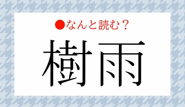 「じゅう」ではありません!「樹雨」ってなんと読む?