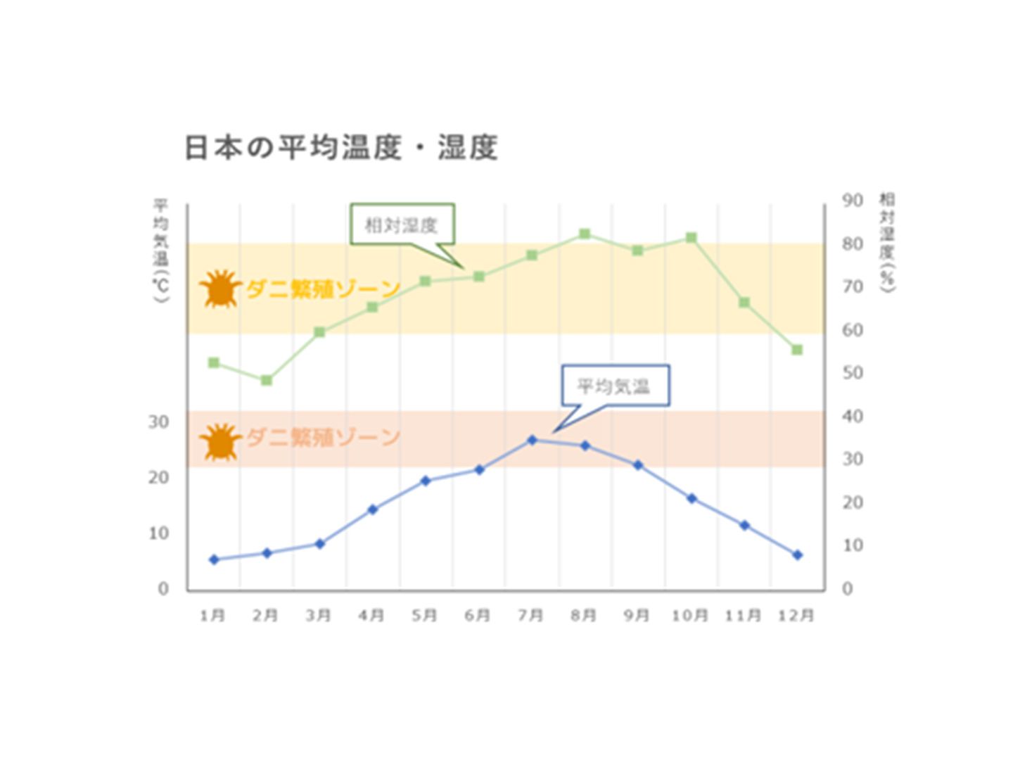 習慣_1,ニット_1,コート_1