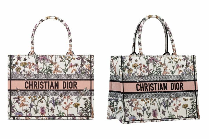 Dior Book Tote с принтом Парижа