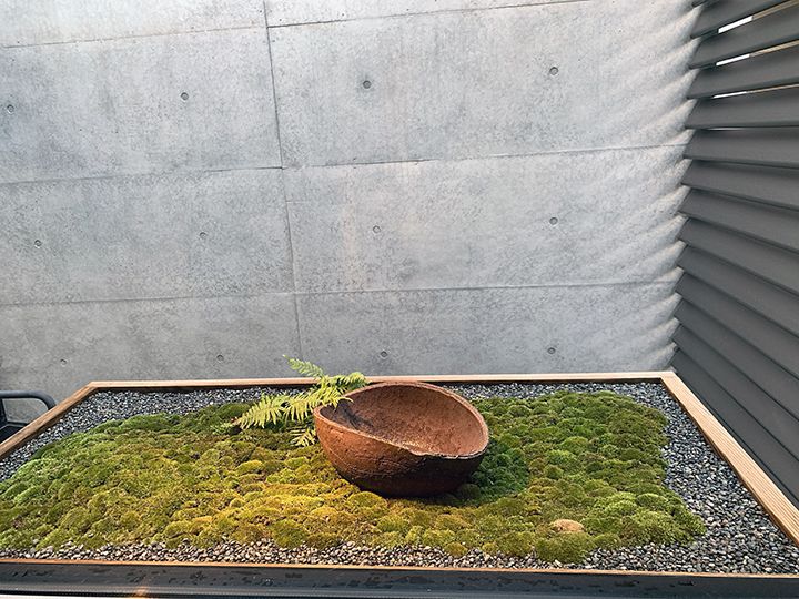 一部の客室に設けられた箱庭。苔むした庭もあれば、器や花器が無造作に置かれた庭もある