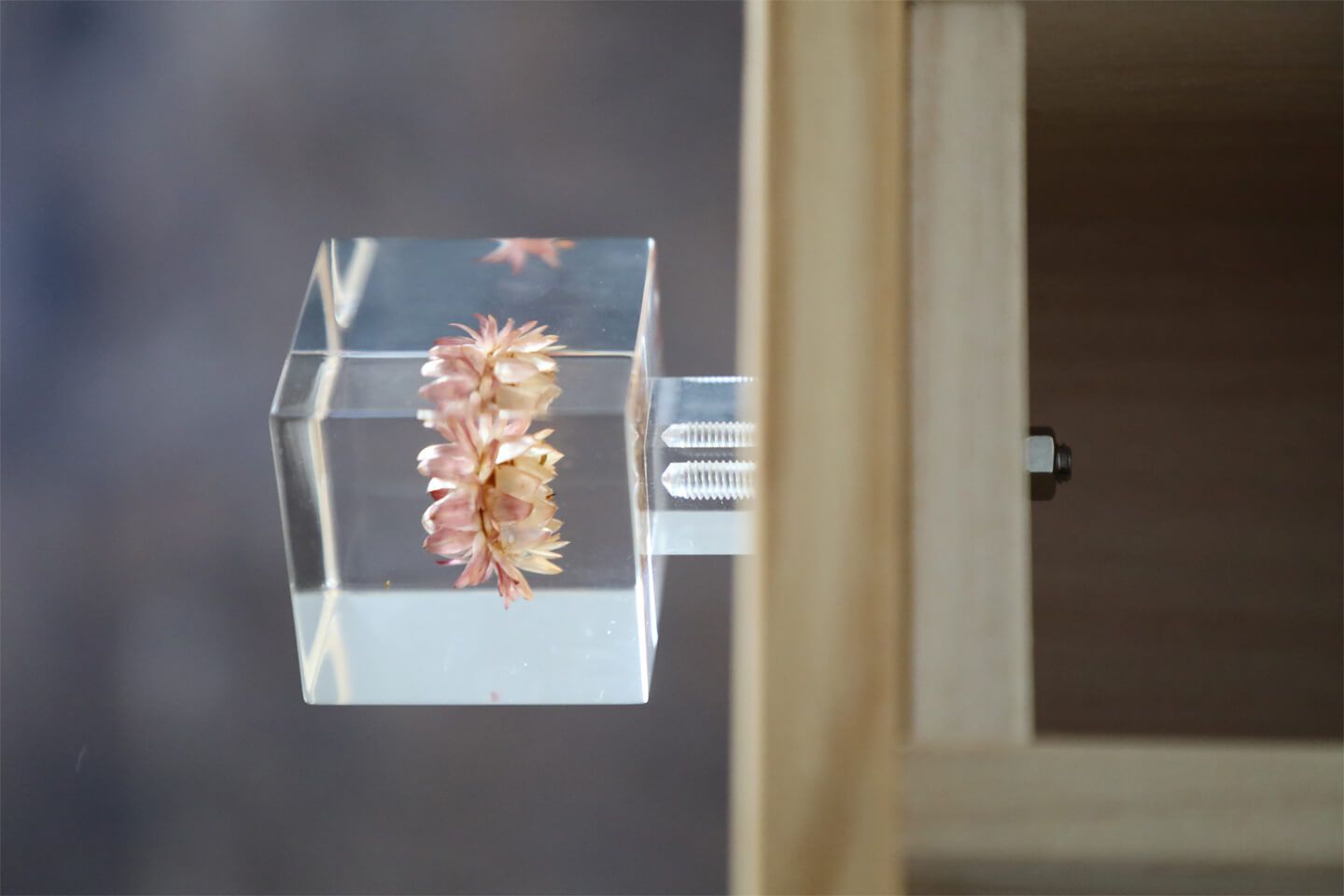 普段の生活の一部に「Sola cube」が活かされています