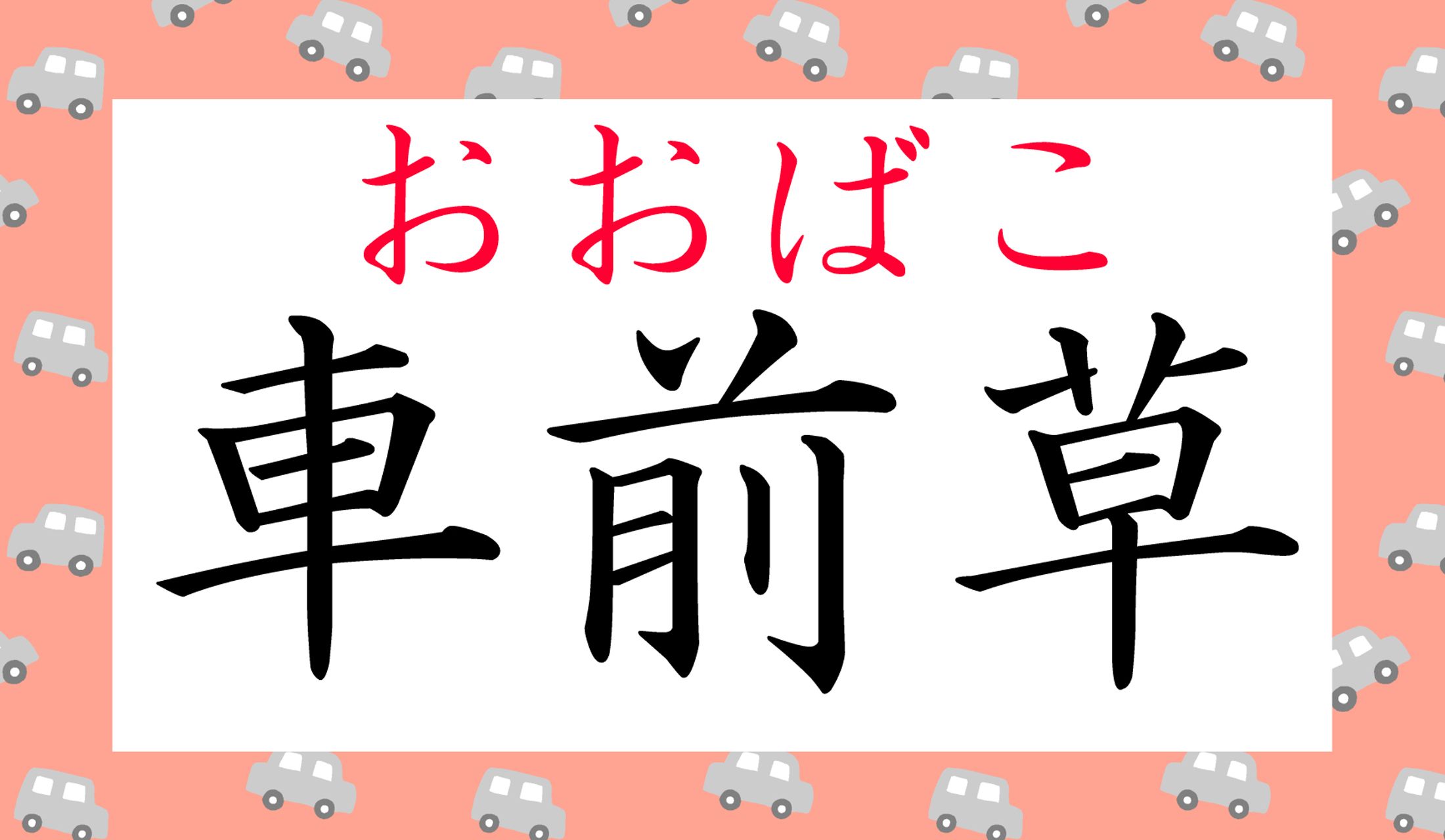 どんな植物かと言うと…
