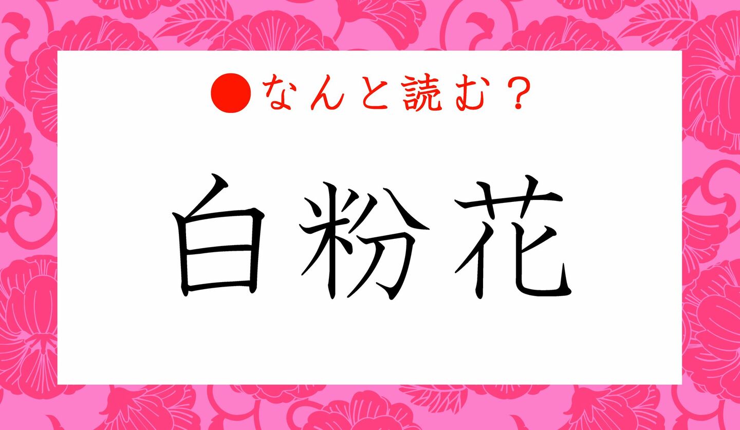日本語クイズ　出題画像　難読漢字　「白粉花」なんと読む？