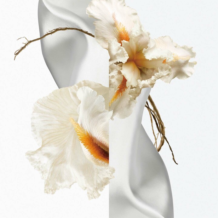 エルメスのエルメッセンス コレクション ムスク パリダ オードパルファム