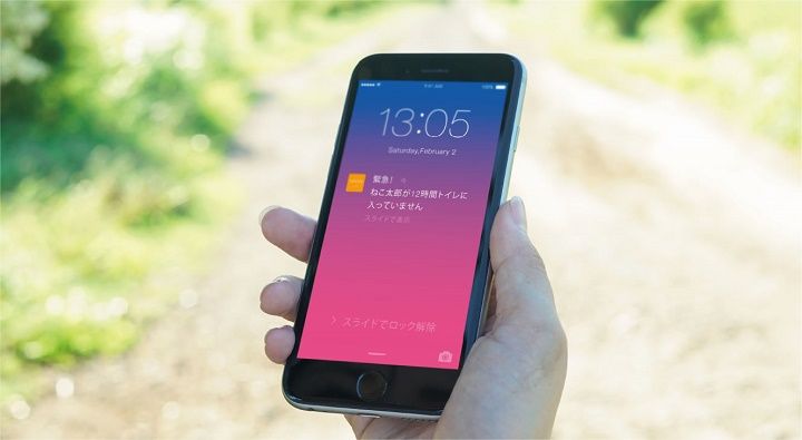こんな風にスマホに猫ちゃんの様子をお知らせしてくれるんです。
