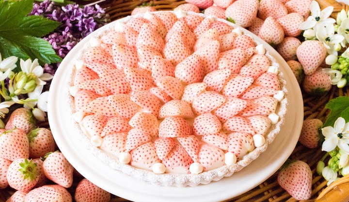 クリスマスパーティーやプレゼントにもおすすめ!