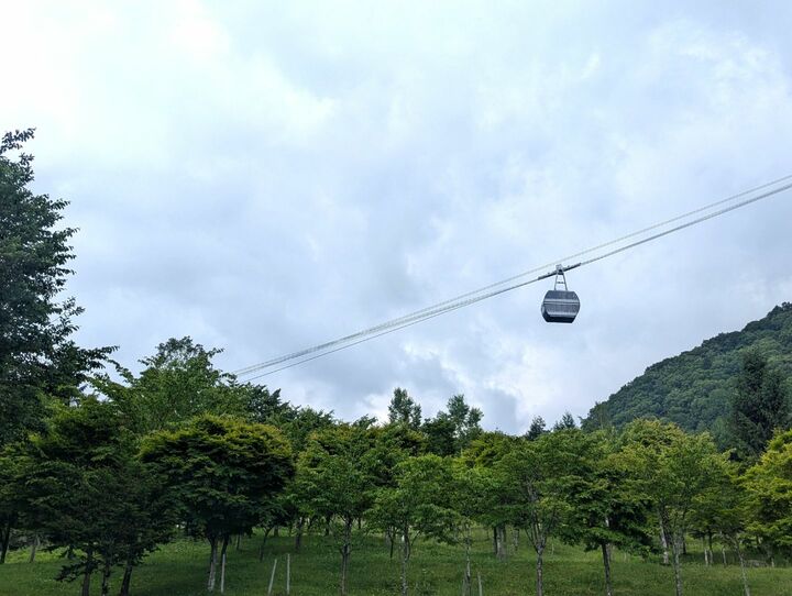国内旅行_36