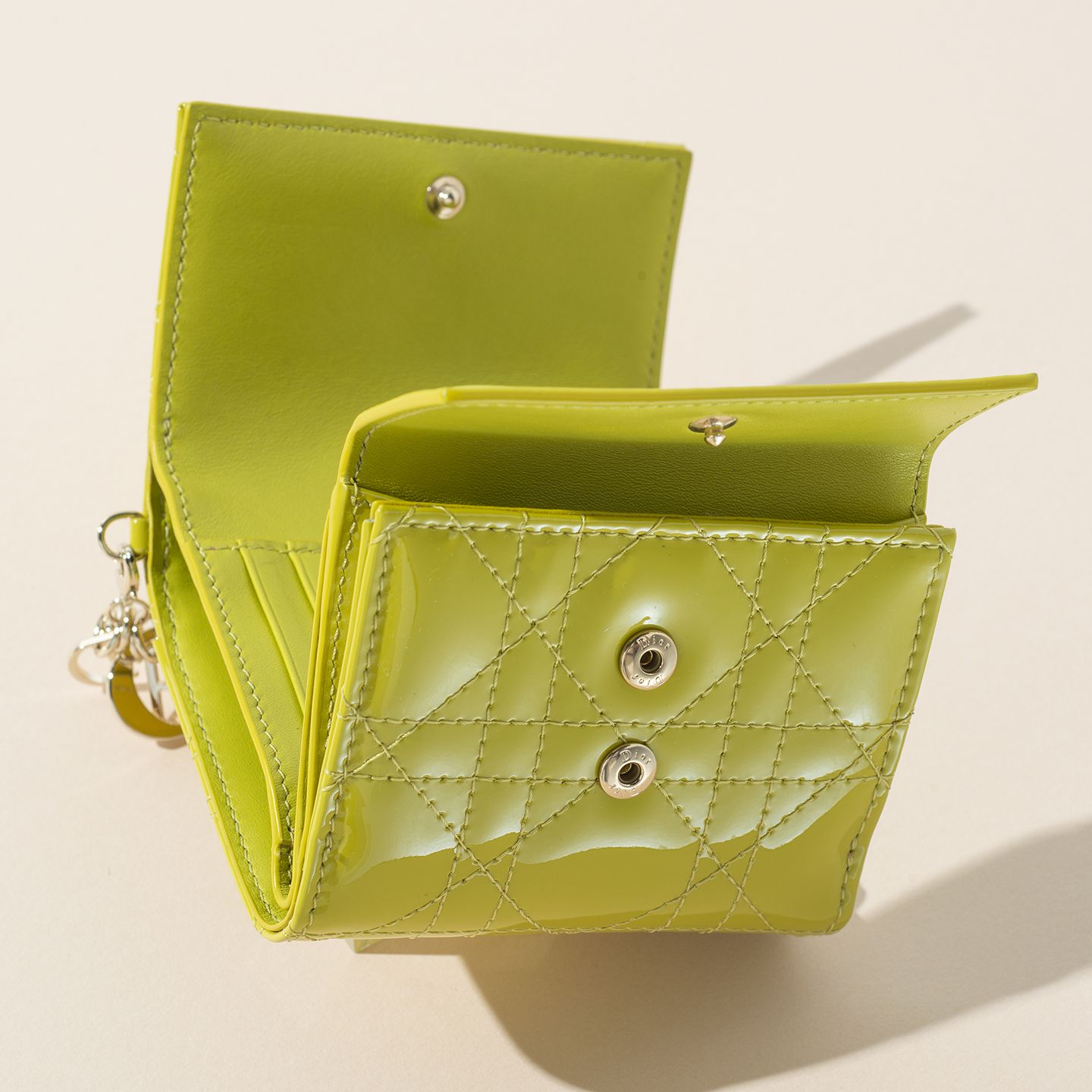 大人気！ディオールの「レディ ディオール」の新作財布は気持ちが華やぐポップカラーがステキ | Precious.jp（プレシャス）