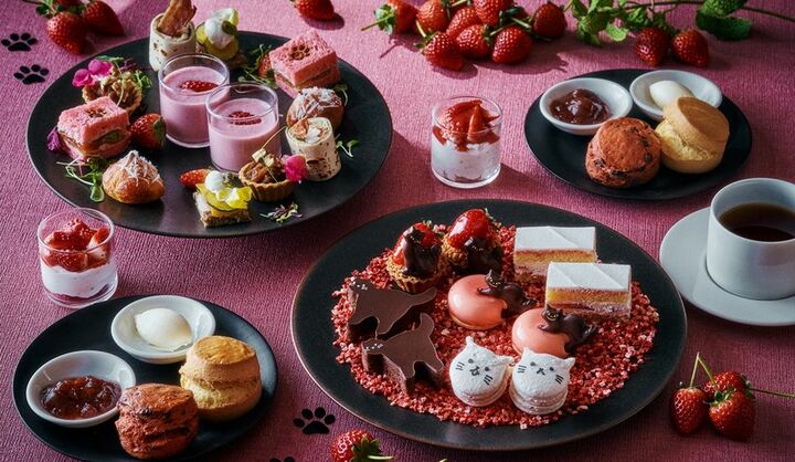 グランド ハイアット 東京「ストロベリー＆キャット アフタヌーンティー」