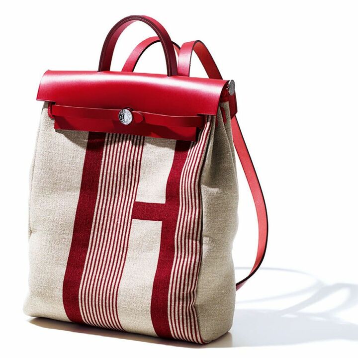 バッグ『エールバッグ・ジップ』［縦38×横29×マチ11cm］￥423,000（エルメスジャポン）　[Precious2019年4月号188ページ]