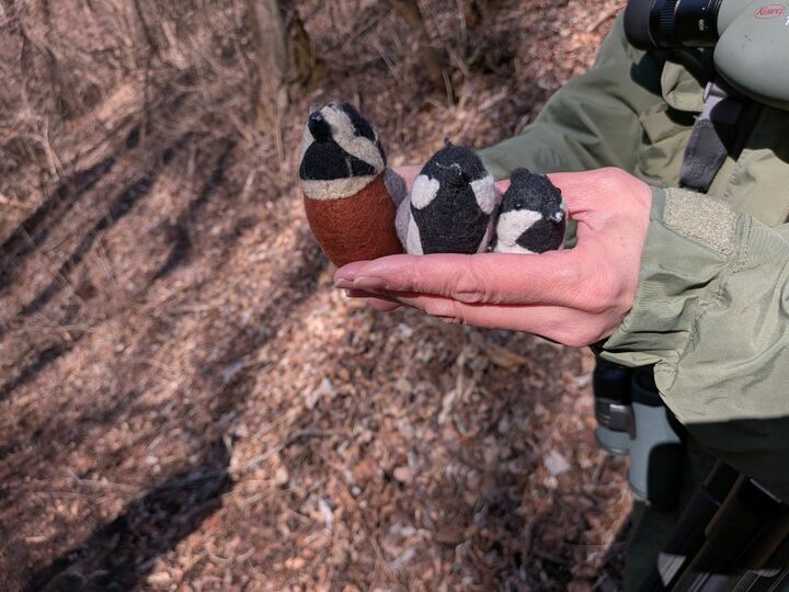 ホテル_11,軽井沢_11