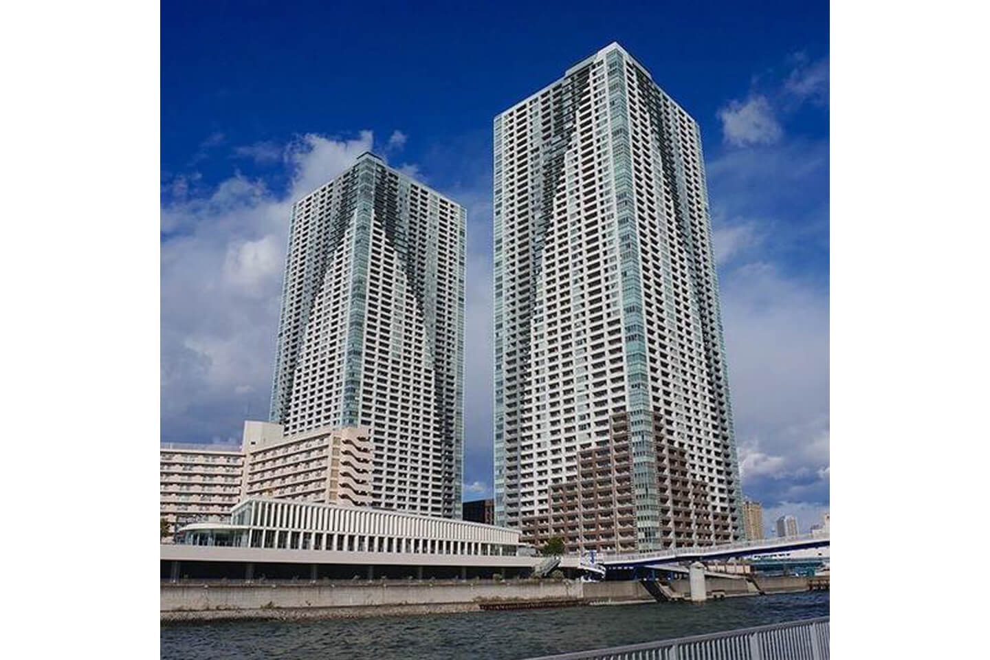 ザ東京タワーズ
