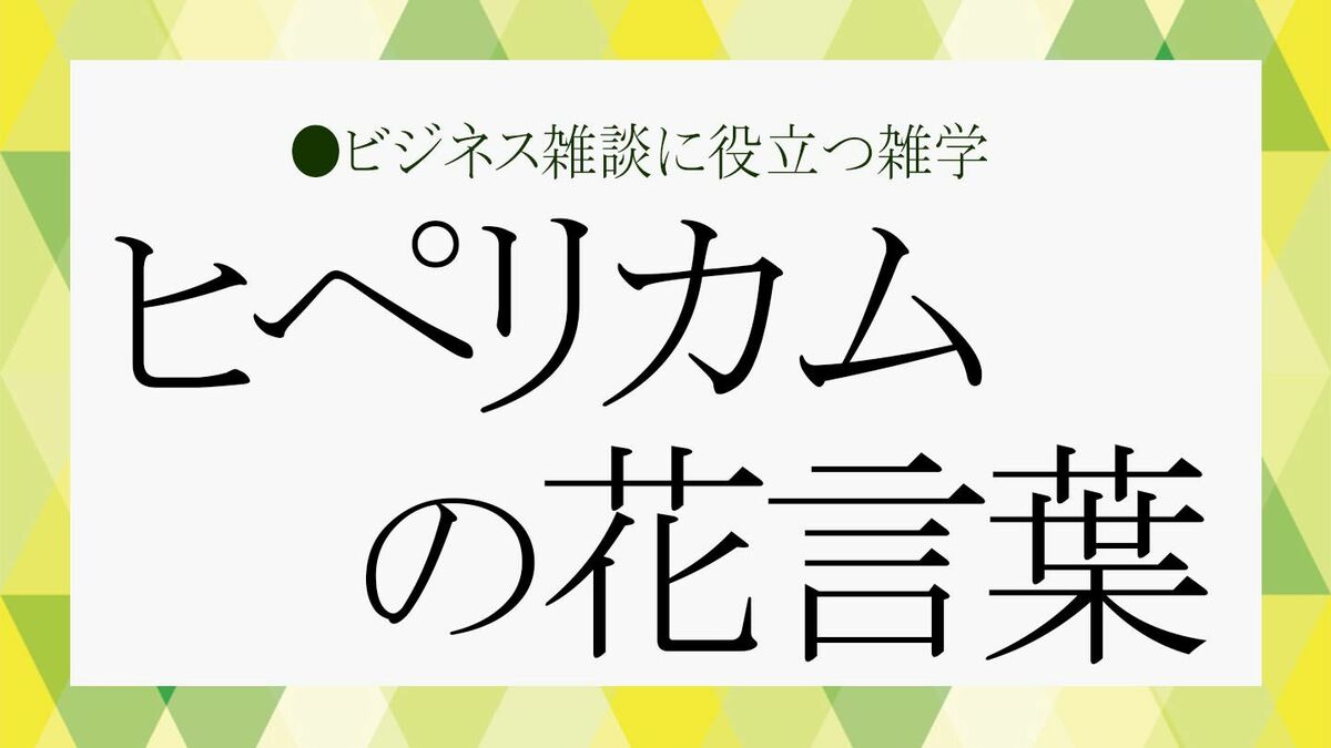 ヒペリカム」ってどんな花？花言葉は？ビジネス雑談に役立つ知識
