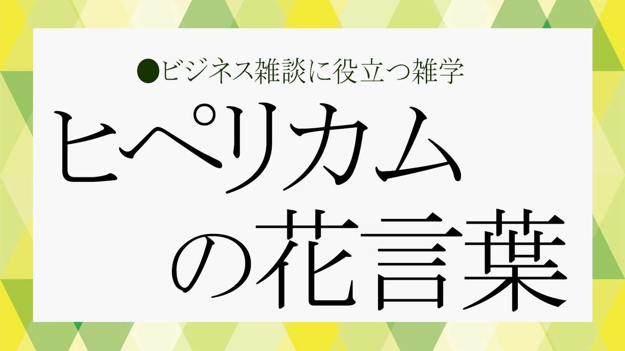 ヒペリカム」ってどんな花？花言葉は？ビジネス雑談に役立つ知識を紹介【大人の語彙力強化塾607】 | Precious.jp（プレシャス）